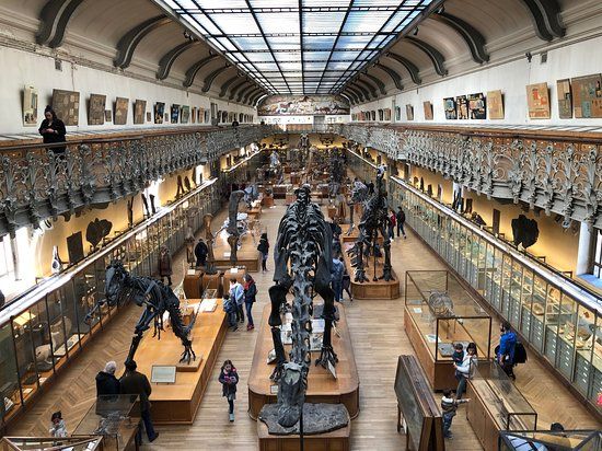 National Museum of Natural History